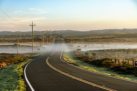Fog Road