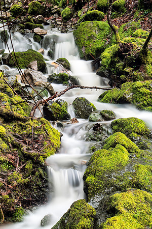 Spring Thaw