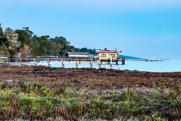 Tomales Pier