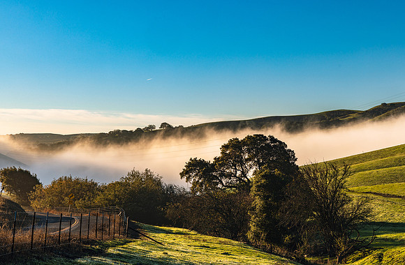 Valley Fog
